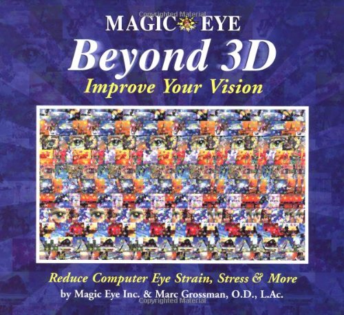 Magic Eye Beyond 3Dの書籍画像